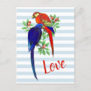 Recherche de parrot cartes postales Oiseau