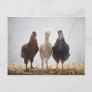 Recherche de compagnie cartes postales Travel