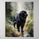 Recherche de chien de terre neuve posters Pour tous