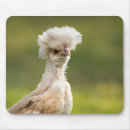 Recherche de poulet drôle tapis souris Mignon