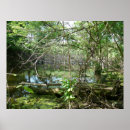 Recherche de confusion posters Forêt