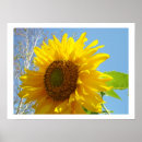 Recherche de couleurs lumineuses posters Jaune