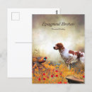 Recherche de bretons cartes postales Épagneul