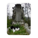 Recherche de chat blanc magnets Photographie