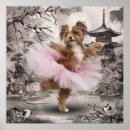 Recherche de tulear posters Pour tous