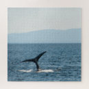 Recherche de baleines de bosse puzzles Alaska