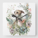Recherche de levrier horloges Whippet