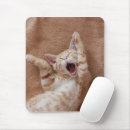 Recherche de bébés animaux tapis souris Chat domestique