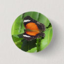 Recherche de ailes papillon badges Tropical