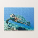 Recherche de tortue de mer puzzles Vert