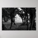 Recherche de clairière posters Arbres