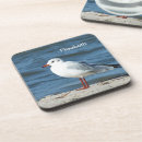 Recherche de oiseau de mer Pour elle