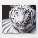 Recherche de tigre bengale tapis souris Animaux sauvages