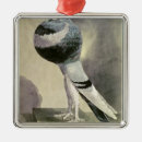 Recherche de pigeon ornements Oiseau