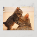 Recherche de bisous cartes postales Amour