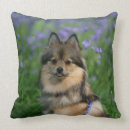 Recherche de spitz coussins Profil