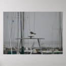Recherche de mouettes art Côte