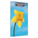Recherche de jonquilles porte blocs Fleur jaune