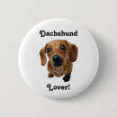 Recherche de teckel badges Chiens