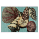 Recherche de méduses planches à découper Mer