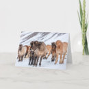 Recherche de islandais vœux cartes Ranch