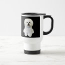 Recherche de de bichon tasses Frise