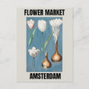 Recherche de fleurs de tulipe cartes postales Rétro