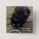 Recherche de chat sauvage badges Chaton