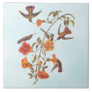 Recherche de de colibris carreaux Pour elle