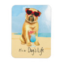 Recherche de brussels magnets Griffon bruxellois