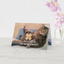 Recherche de opération cartes postales Humour