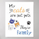 Recherche de amour de chat posters Animal de compagnie
