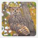 Recherche de duc autocollants Oiseau