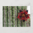 Recherche de cactus de noël cartes postales Saguaro