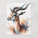 Recherche de gazelle cartes postales Antilope