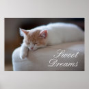 Recherche de kit art Cat