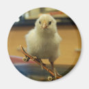 Recherche de décoré magnets Cru