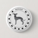 Recherche de lévrier badges Iggy