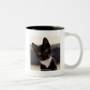 Recherche de premier plan tasses Image de couleur