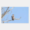 Recherche de rapaces autocollants Plumes