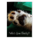 Recherche de paw photographie Image