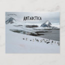 Recherche de adele cartes postales Antarctique