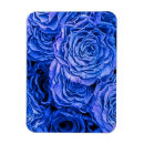 Recherche de rose et bleu magnets Lumineux