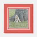 Recherche de de naissance chic magnets Pour tous