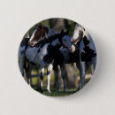 Recherche de bob badges Cheval