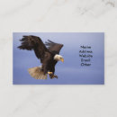 Recherche de aigle américain cartes visite chauve
