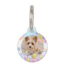 Recherche de ballons animaux articles Pour animaux