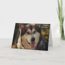 Recherche de traîneau vœux cartes Animal