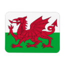 Recherche de baleines magnets Pour eux