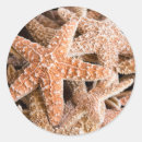Recherche de créatures de vie marine autocollants Étoile